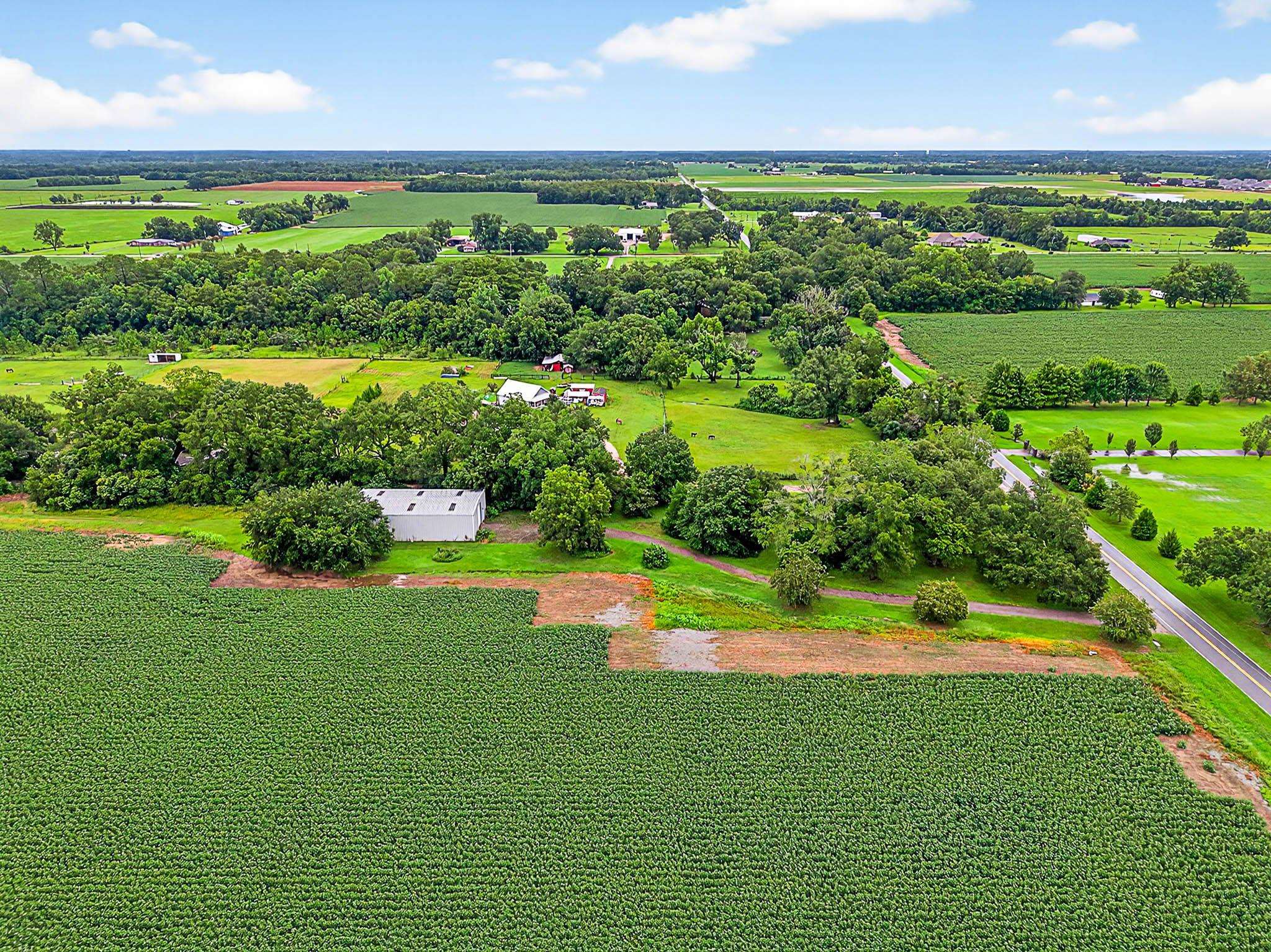 17270 Davis Road Summerdale, AL 36580 - Photo 48 of 97 Aerial View