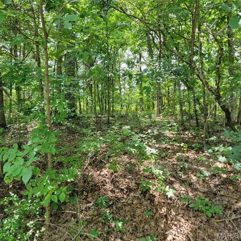 $6,500 | 607 Bunker Hill Drive, De Soto, MO 63020