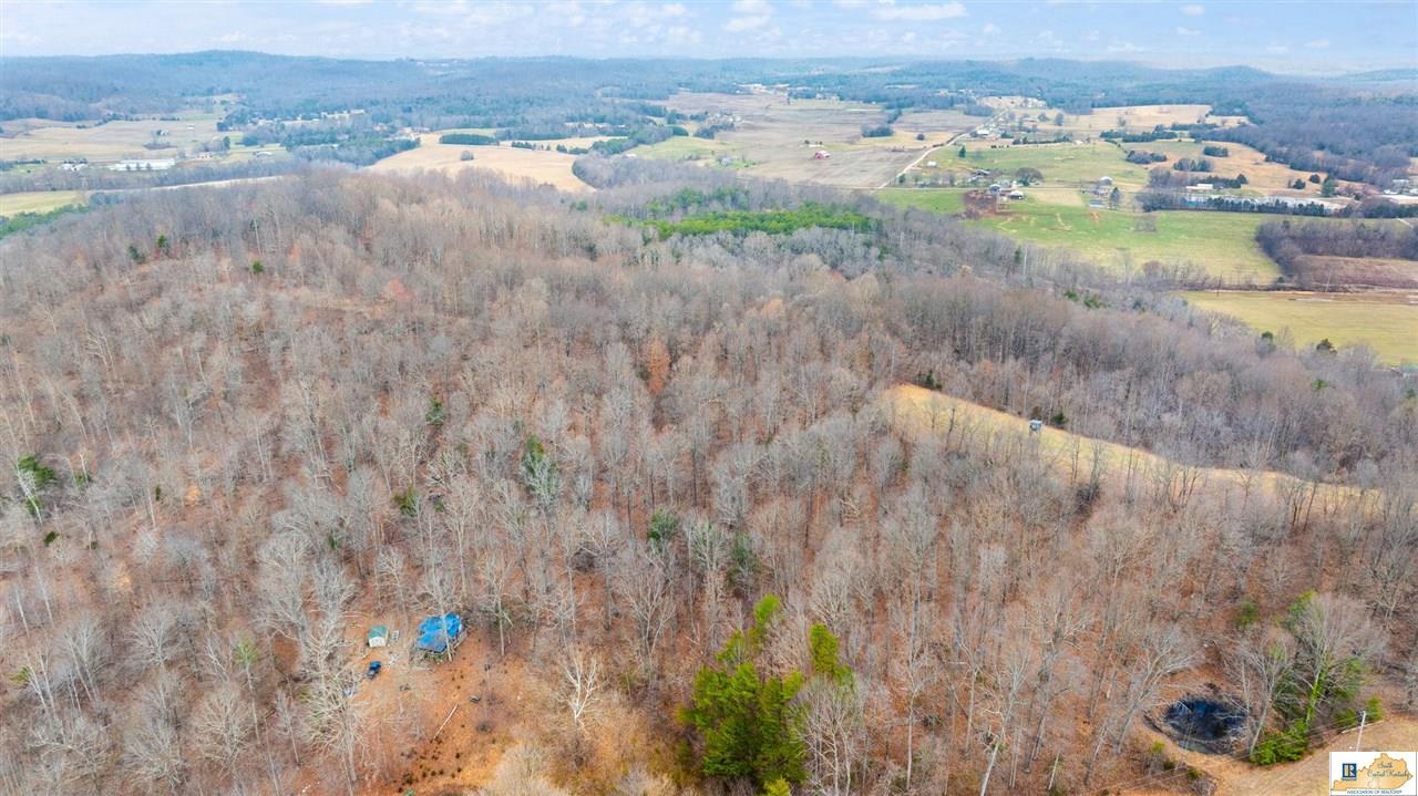 1266 Campground Road Bonnieville, KY 42713 - Photo 12 of 37 Gallery Image 12