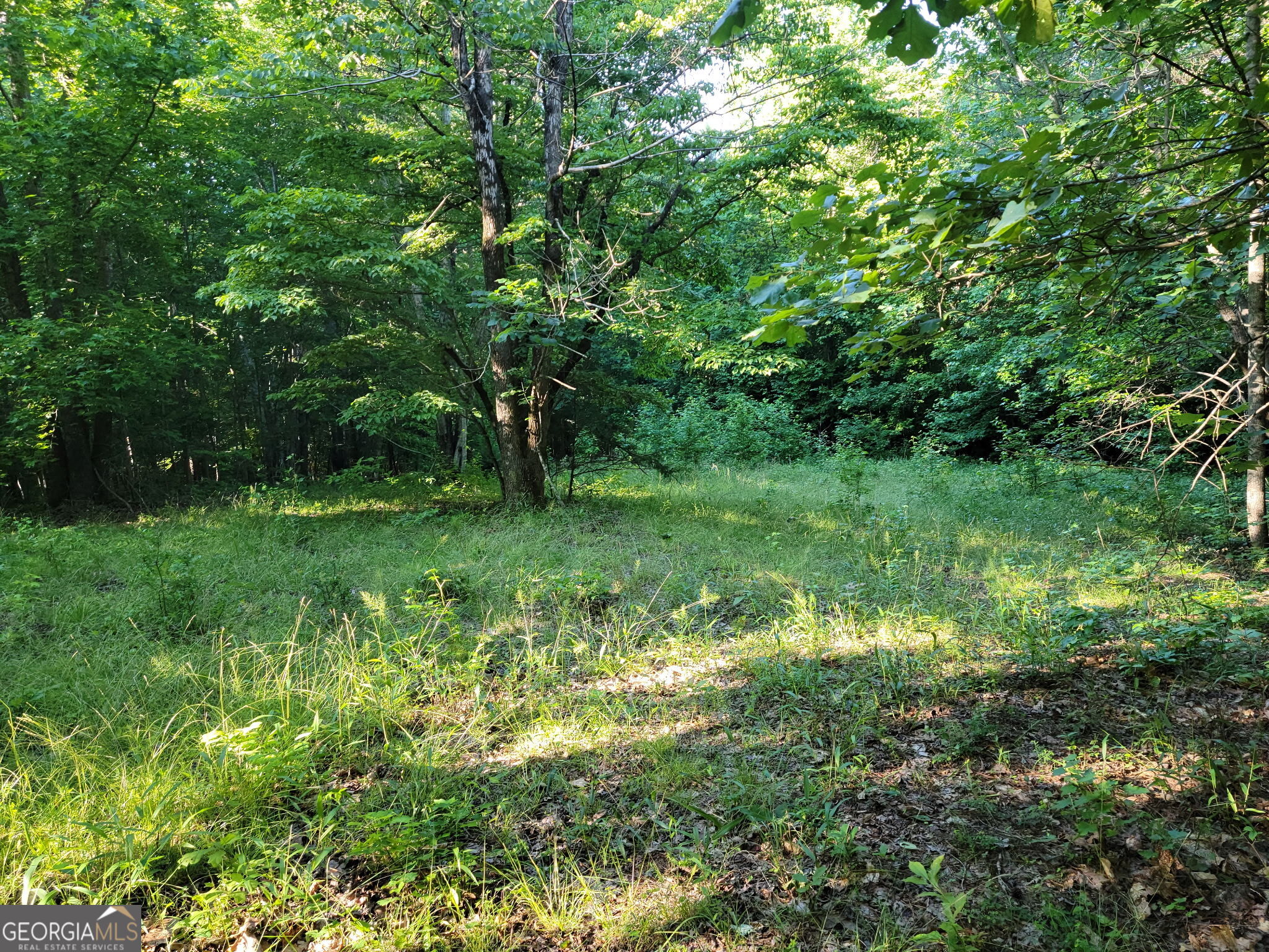 833 Neal Gap Road Summerville, GA 30747 - Photo 79 of 86