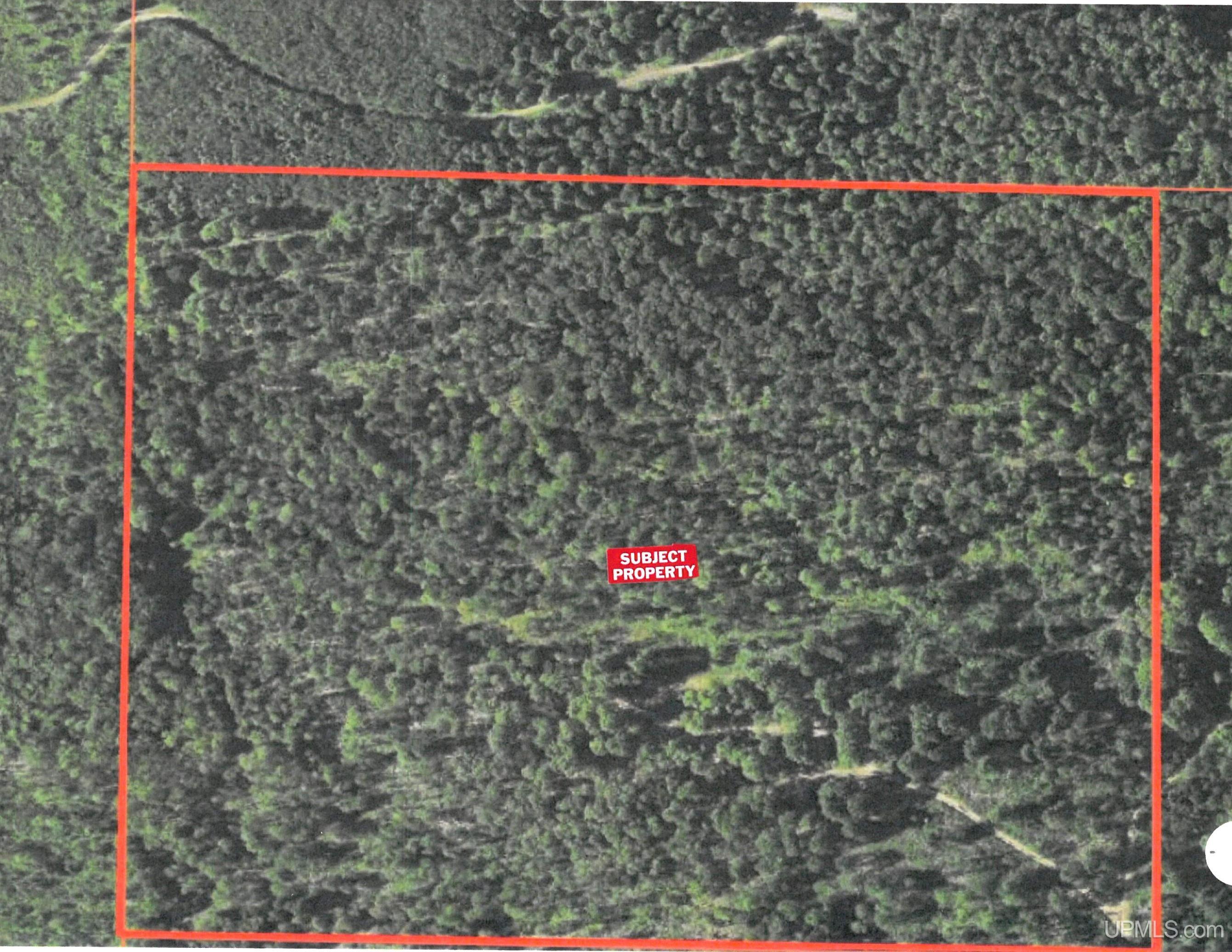 426 Rd Arnold Mi 49819 Road Felch, MI 49831 - Photo 42 of 45