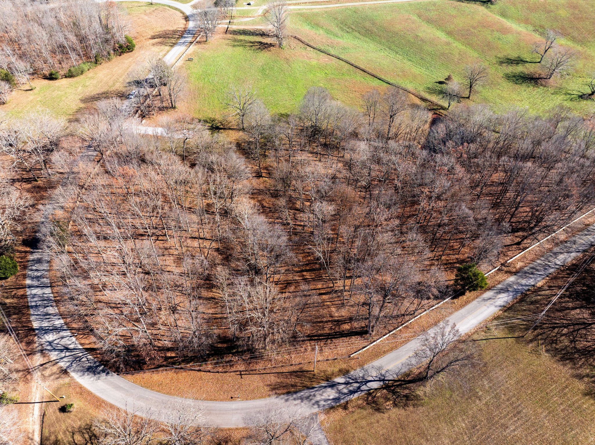 1103 Cowan Road Dickson, TN 37055 - Photo 5 of 15 a view of a swimming pool with a yard