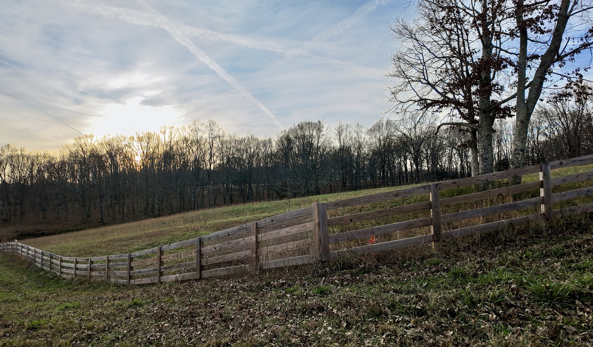 1103 Cowan Road Dickson, TN 37055 - Photo 9 of 15 a view of a yard with wooden fence
