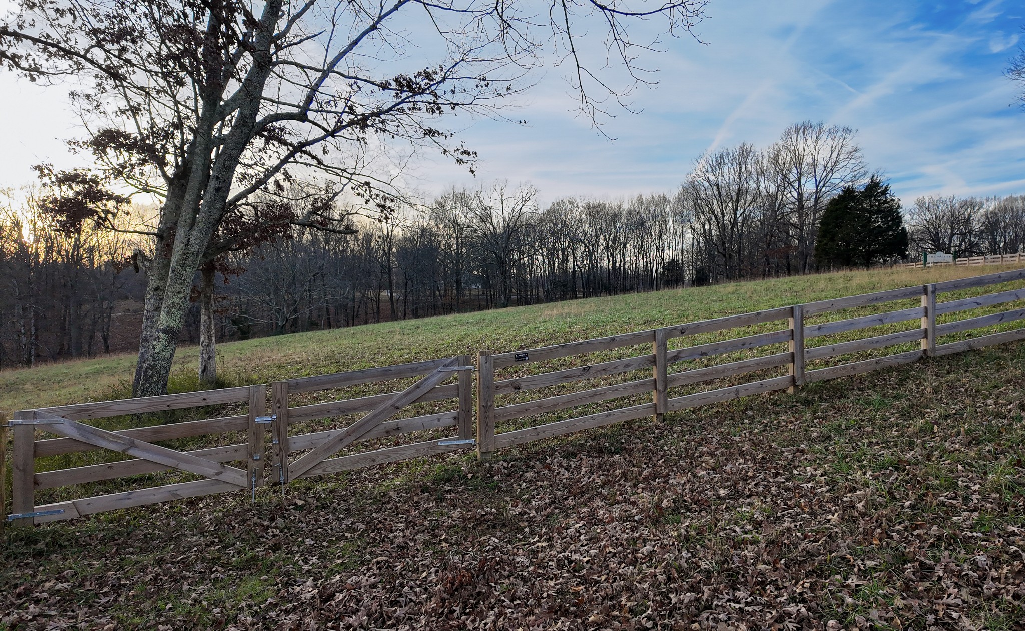 1103 Cowan Road Dickson, TN 37055 - Photo 10 of 15 a view of a backyard with trees