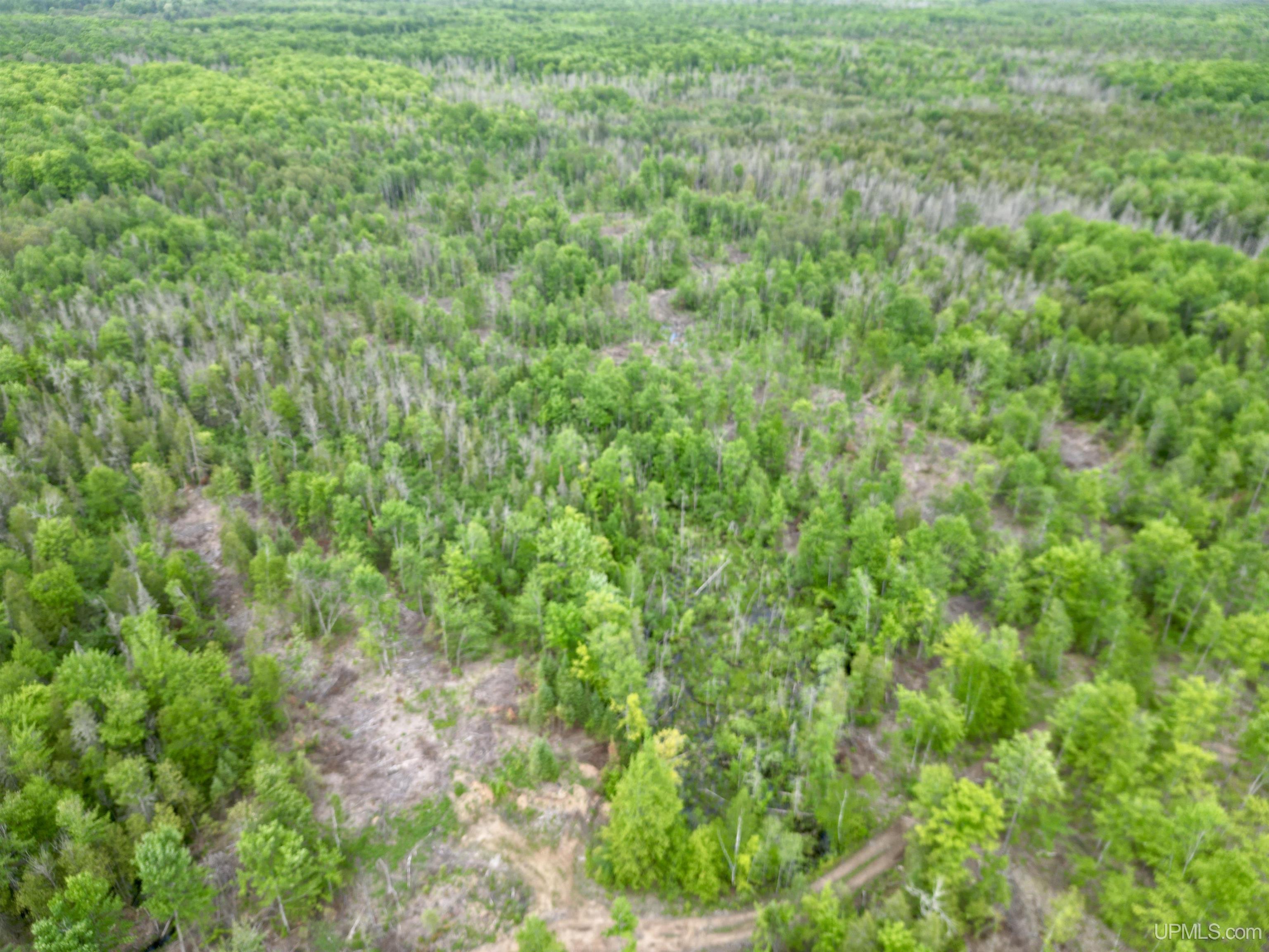 3601 Cr444 Road Rock, MI 49880 - Photo 55 of 78