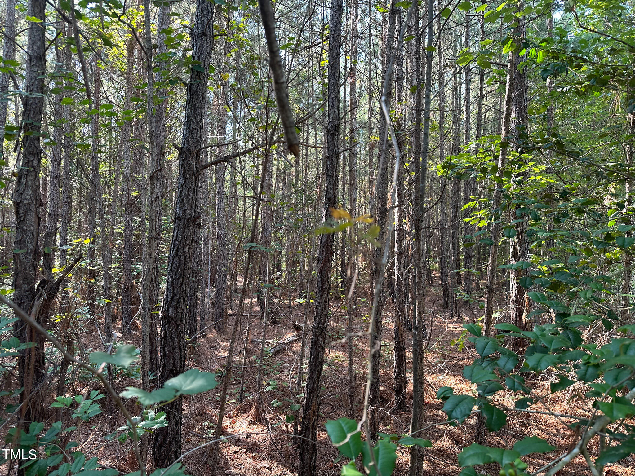 0 McDuffie Road Biscoe, NC 27209 - Photo 18 of 19 Pic 18 McDuffie Road