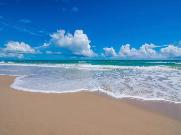 $30,000 | 4770 Jimmy Buffett Mem Highway, Vero Beach, FL 32963