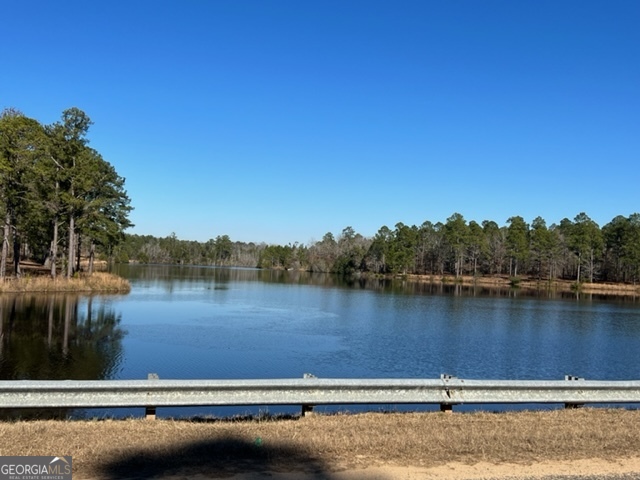 29 Mallard Road Butler, GA 31006 - Photo 2 of 9 a view of lake