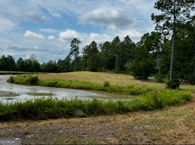 a view of a yard with a fountain