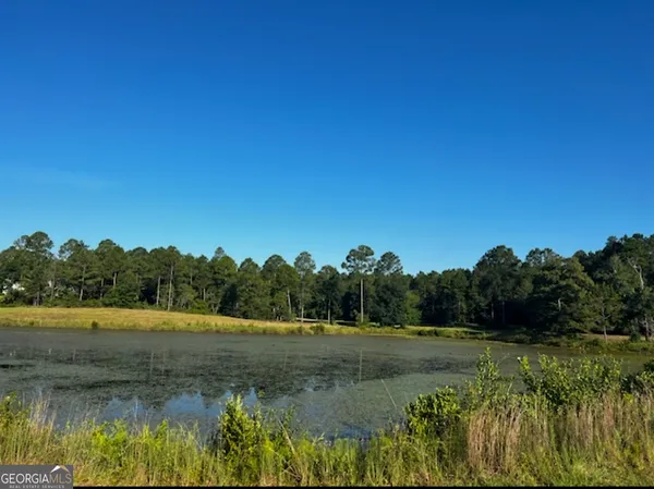 a view of a lake with trees in the background