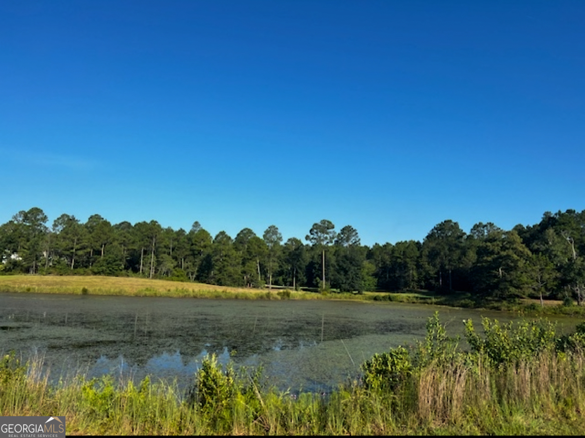 29 Mallard Road Butler, GA 31006 - Photo 6 of 9 a view of a lake with trees in the background