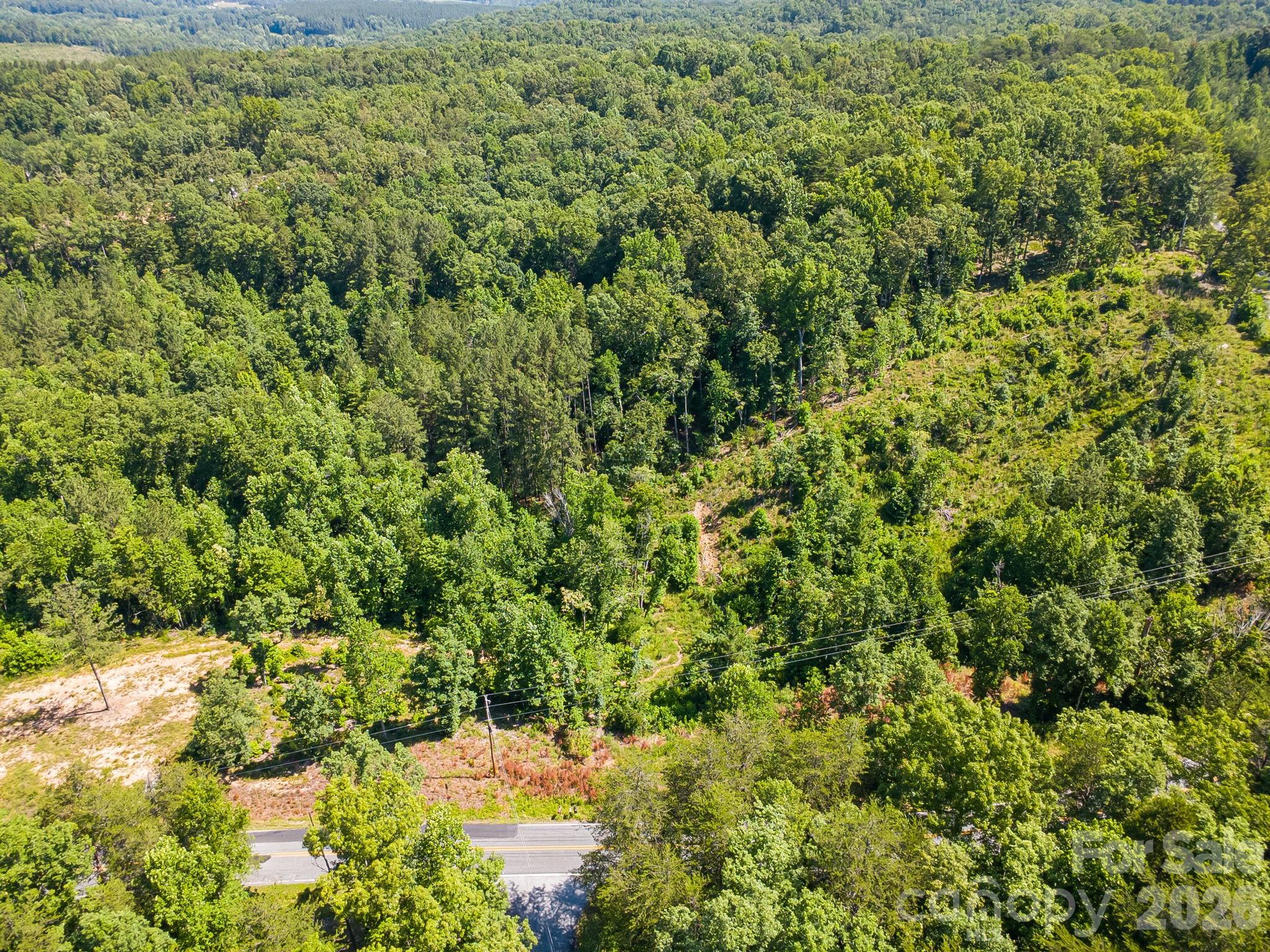 Lot #2 Clark Road Rutherfordton, NC 28139 - Photo 30 of 36