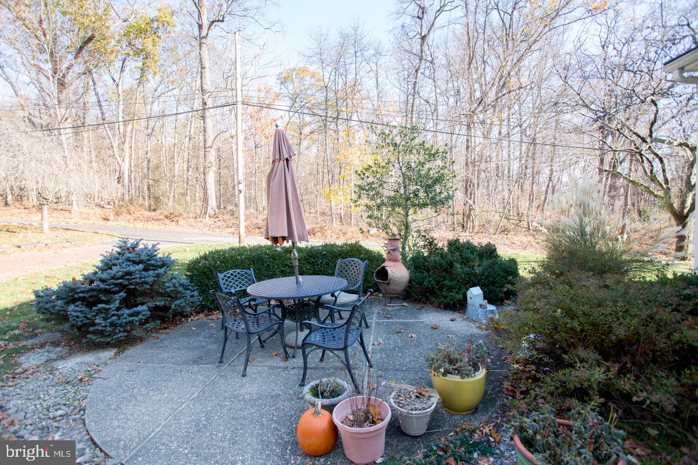 4774 Lower Mountain Road New Hope, PA 18938 - Photo 22 of 26 Rear patio w/extensive landscaping