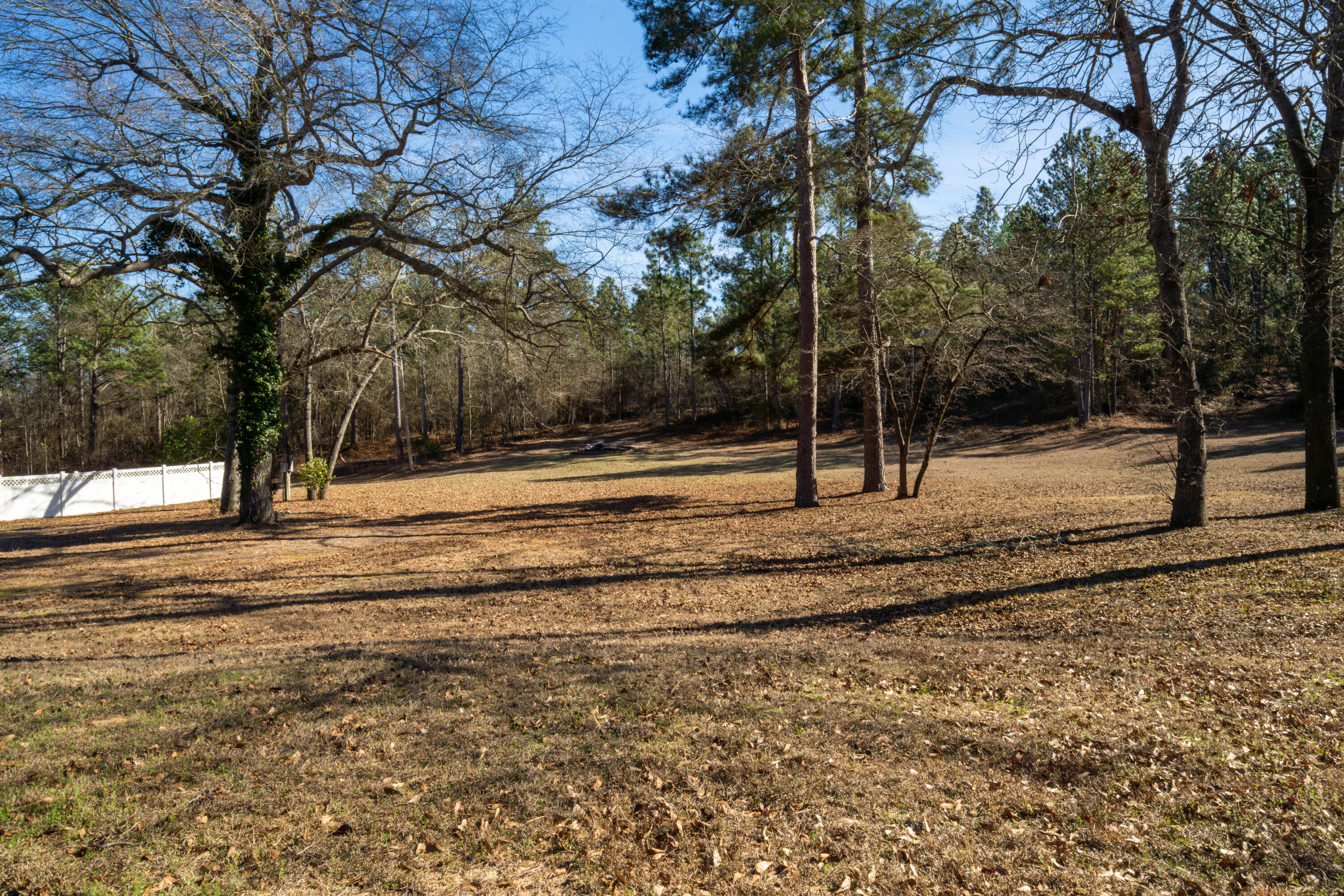 466 New Bridge Road Aiken, SC 29801 - Photo 61 of 63 20260111-DSC05556