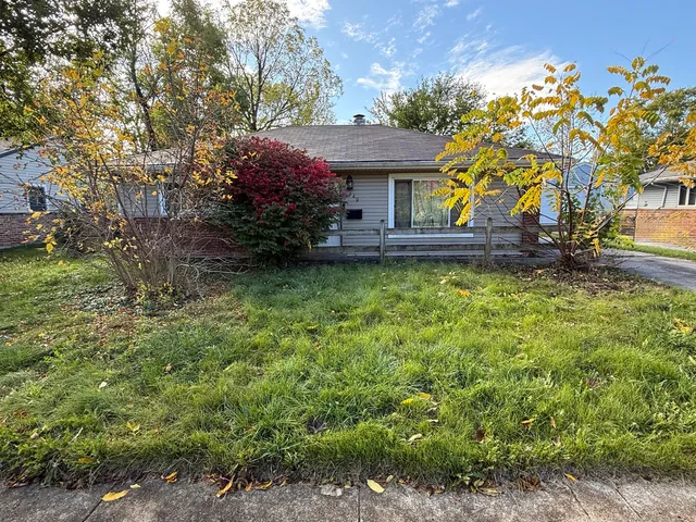 a view of a house with garden and a tree