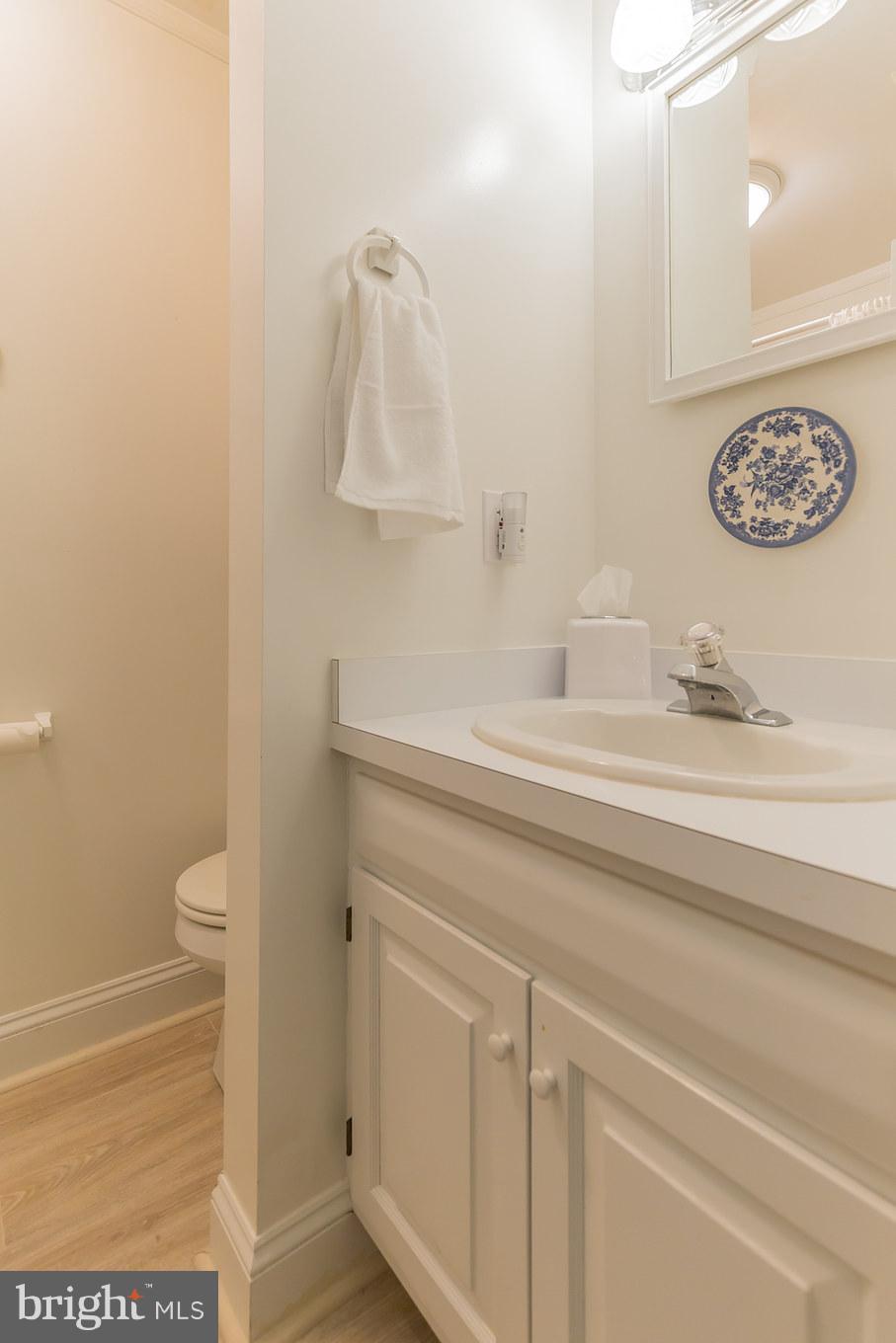 510 Swaggers Point Road Solomons, MD 20688 - Photo 19 of 30 a bathroom with a sink a toilet and a mirror