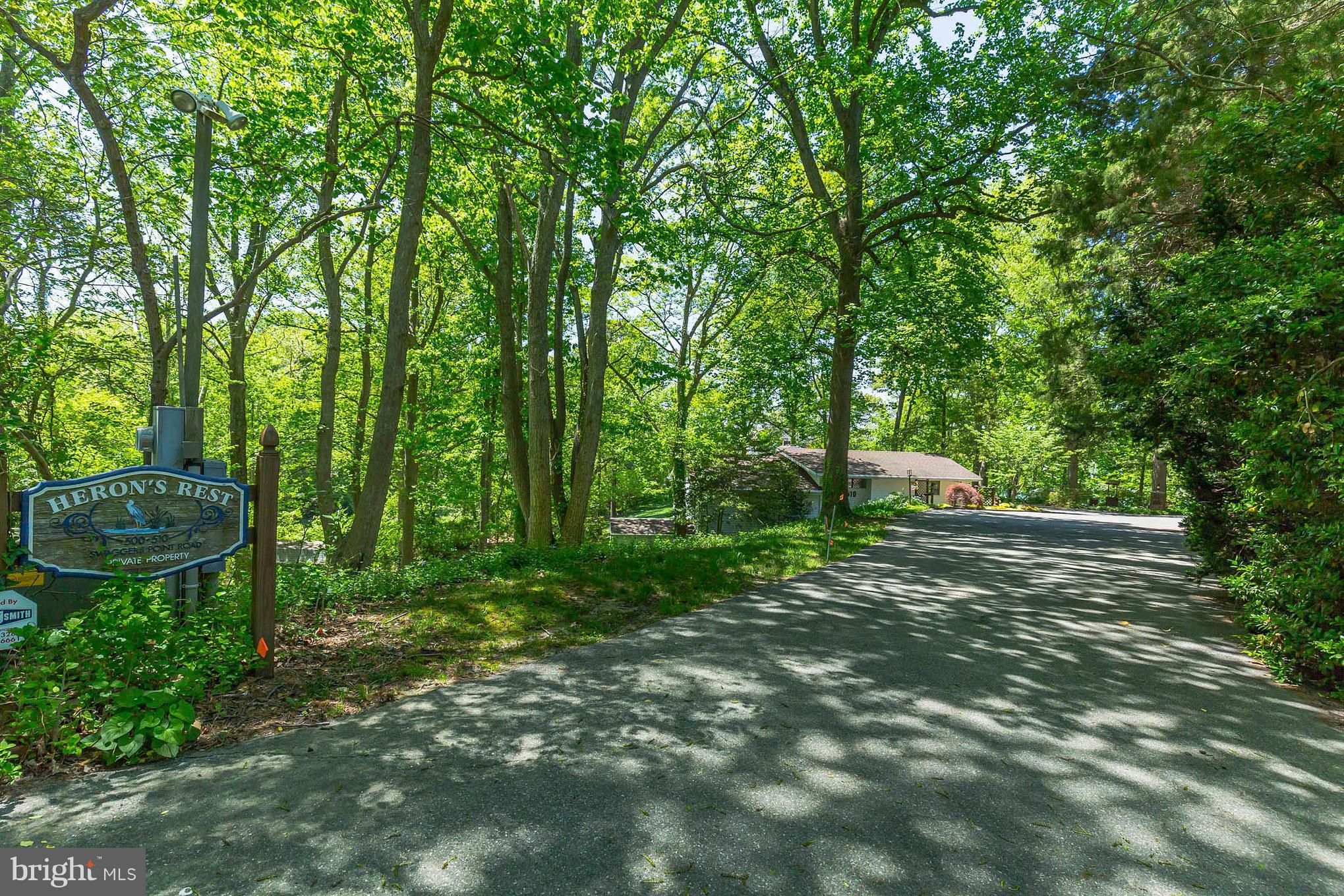510 Swaggers Point Road Solomons, MD 20688 - Photo 29 of 30 a view of a backyard with large trees