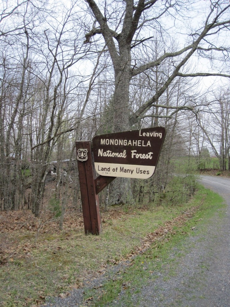 1 Cape Reed Road Renick, WV 24966 - Photo 9 of 16 National Forest