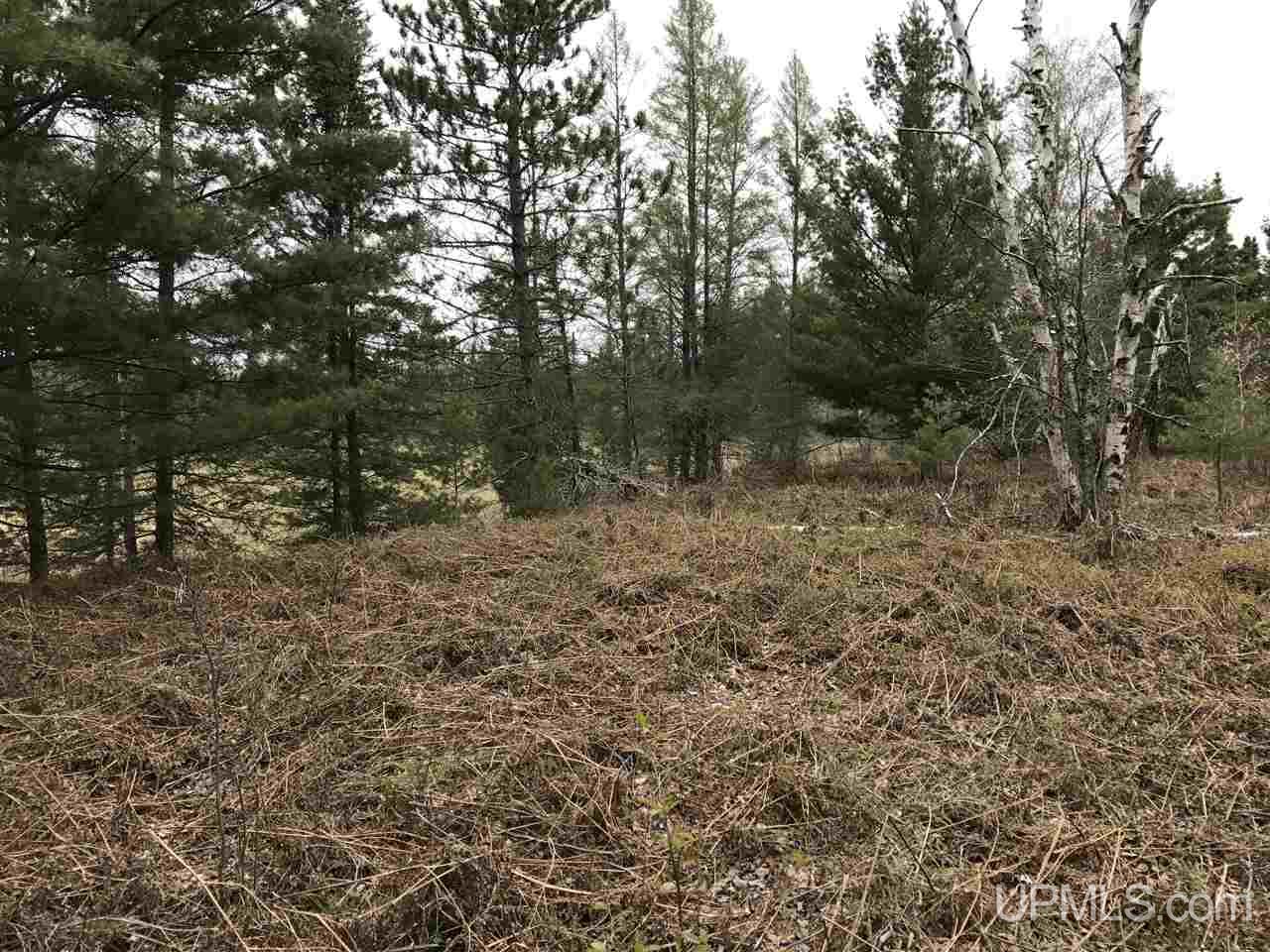 40-ac Kelso Road Crystal Falls, MI 49920 - Photo 12 of 21