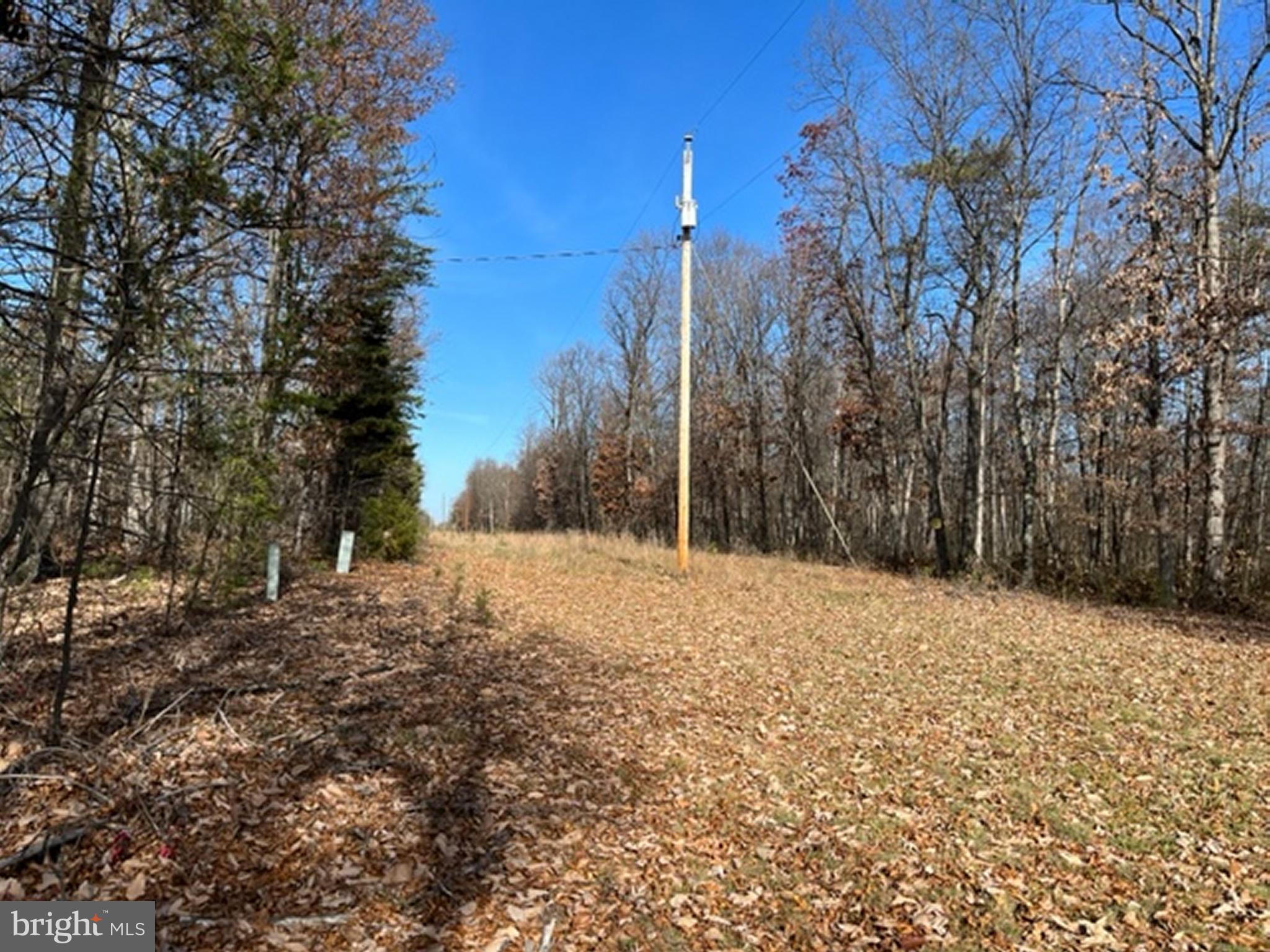 North Timber Ridge Road Cross Junction, VA 22625 - Photo 8 of 26 Power runs across front of land