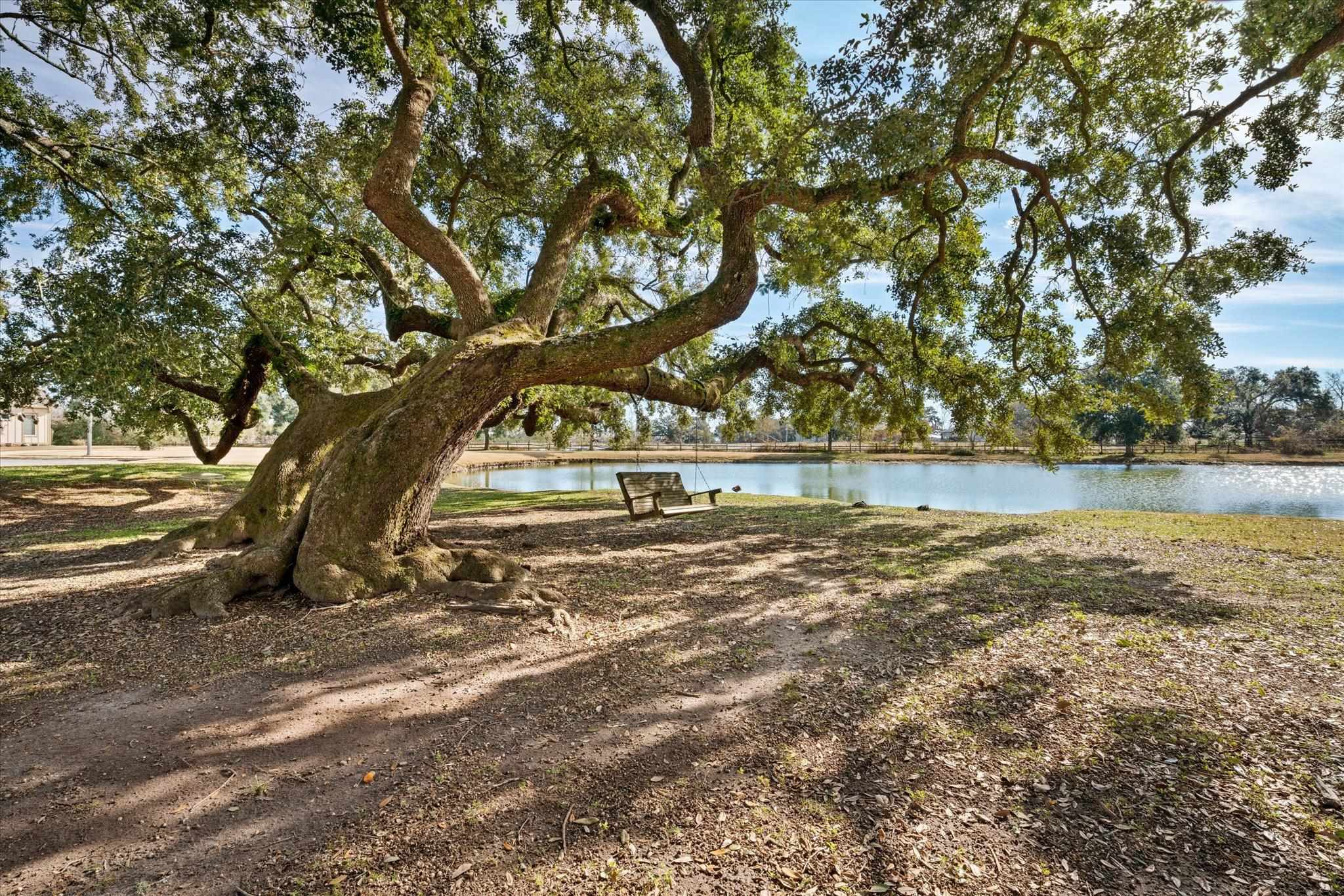 24544 Alex Court Daphne, AL 36526 - Photo 33 of 35