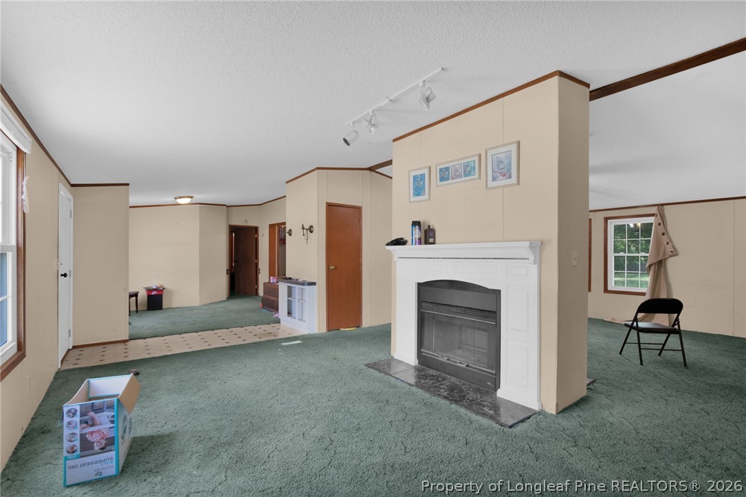4705 Hickory Ridge Road Parkton, NC 28371 - Photo 10 of 37 a living room with furniture and a fireplace