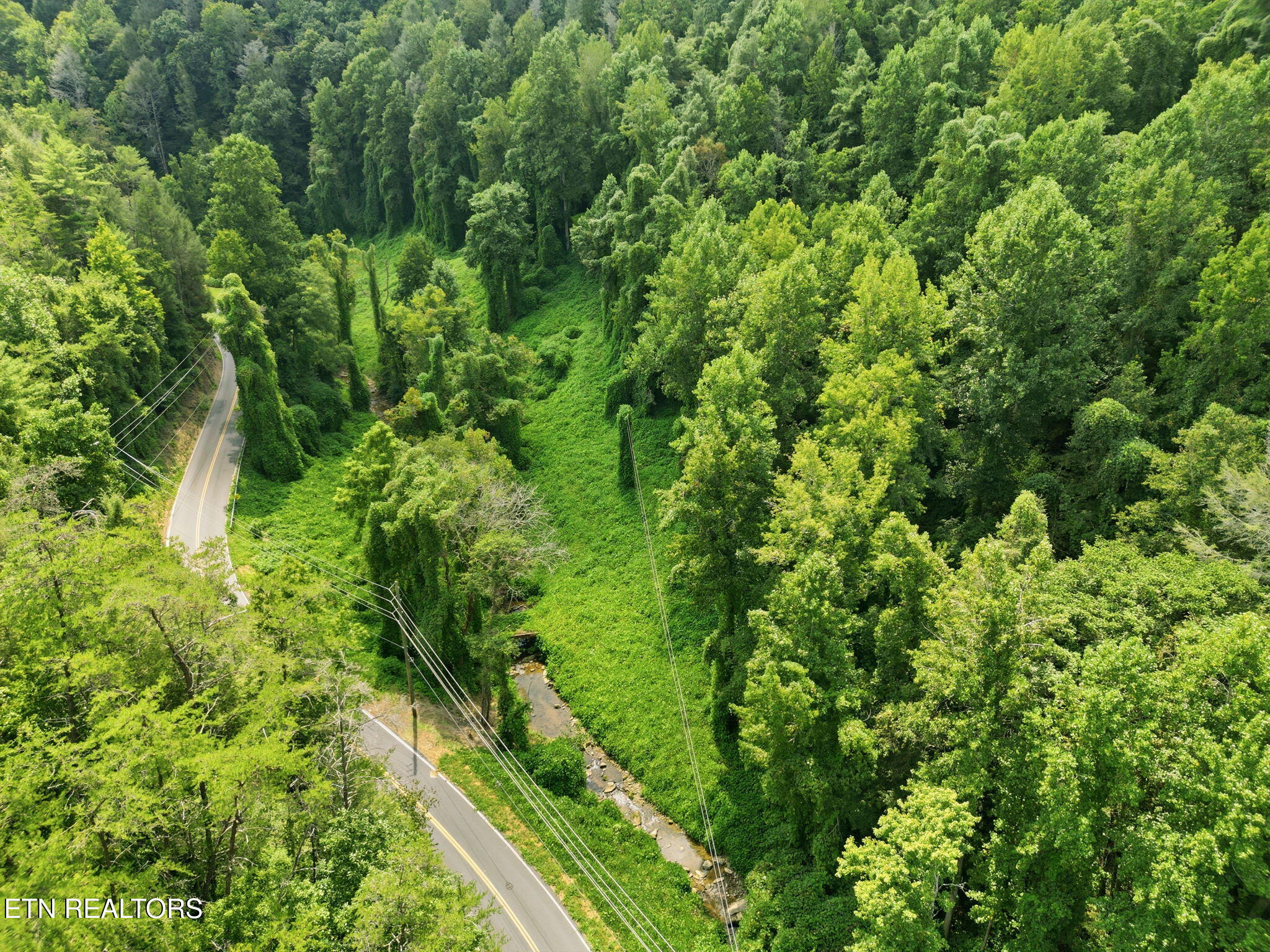 3910 Wilhite Road Sevierville, TN 37876 - Photo 25 of 45 25-web-or-mls-DJI_0924