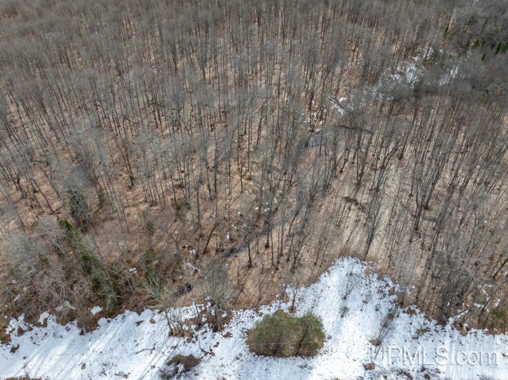 Tbd Tbd 26th Road Chatham, MI 49816 - Photo 10 of 15