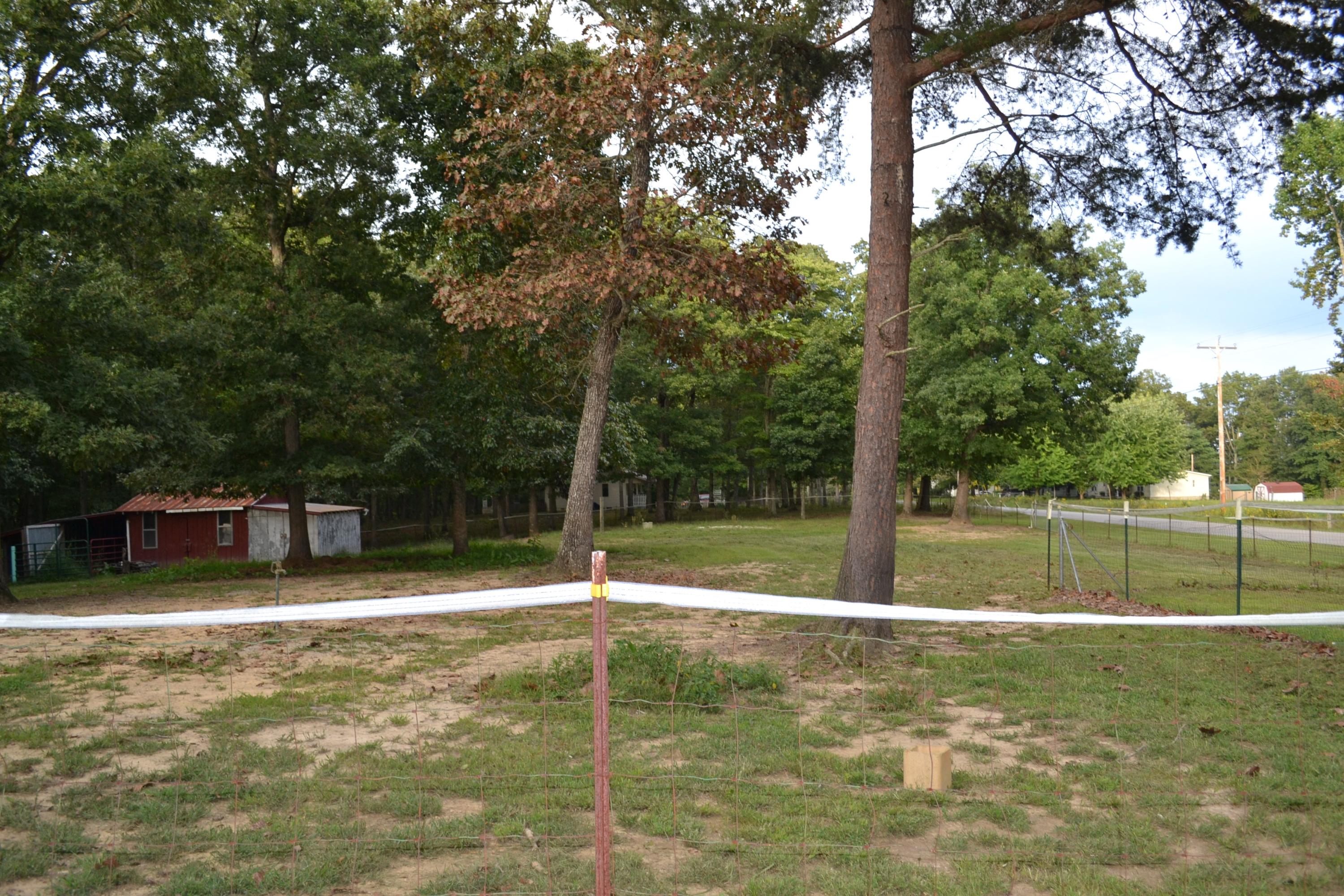 2448 Brewer Road Crossville, TN 38572 - Photo 16 of 34 Fenced pasture