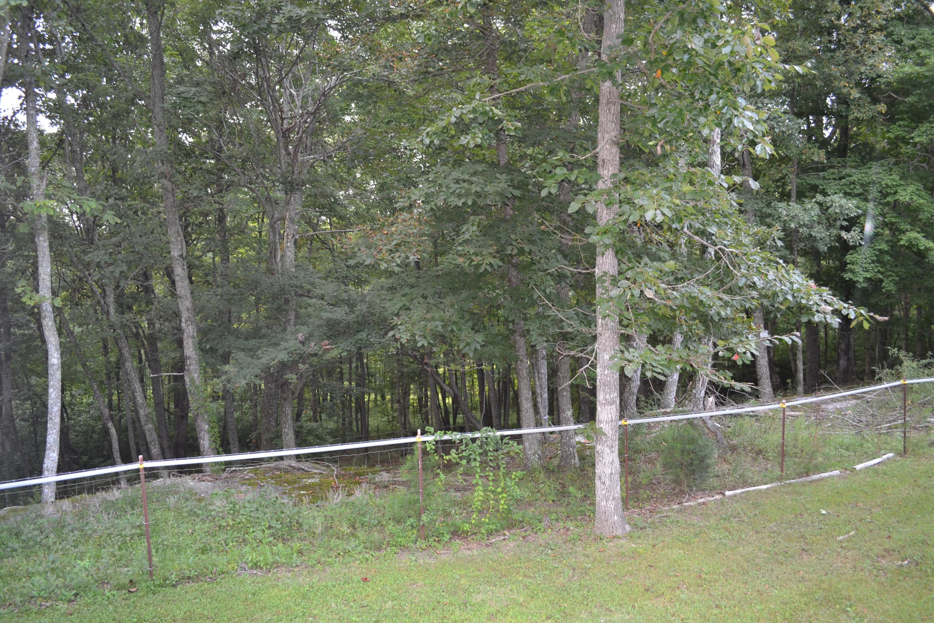 2448 Brewer Road Crossville, TN 38572 - Photo 18 of 34 Fenced yard with bluff on the other side