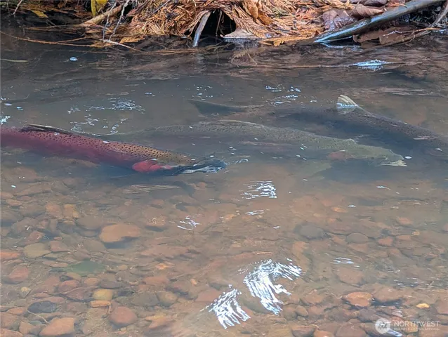 $744,900 | 735 Ivy Street, Lynden, WA 98264