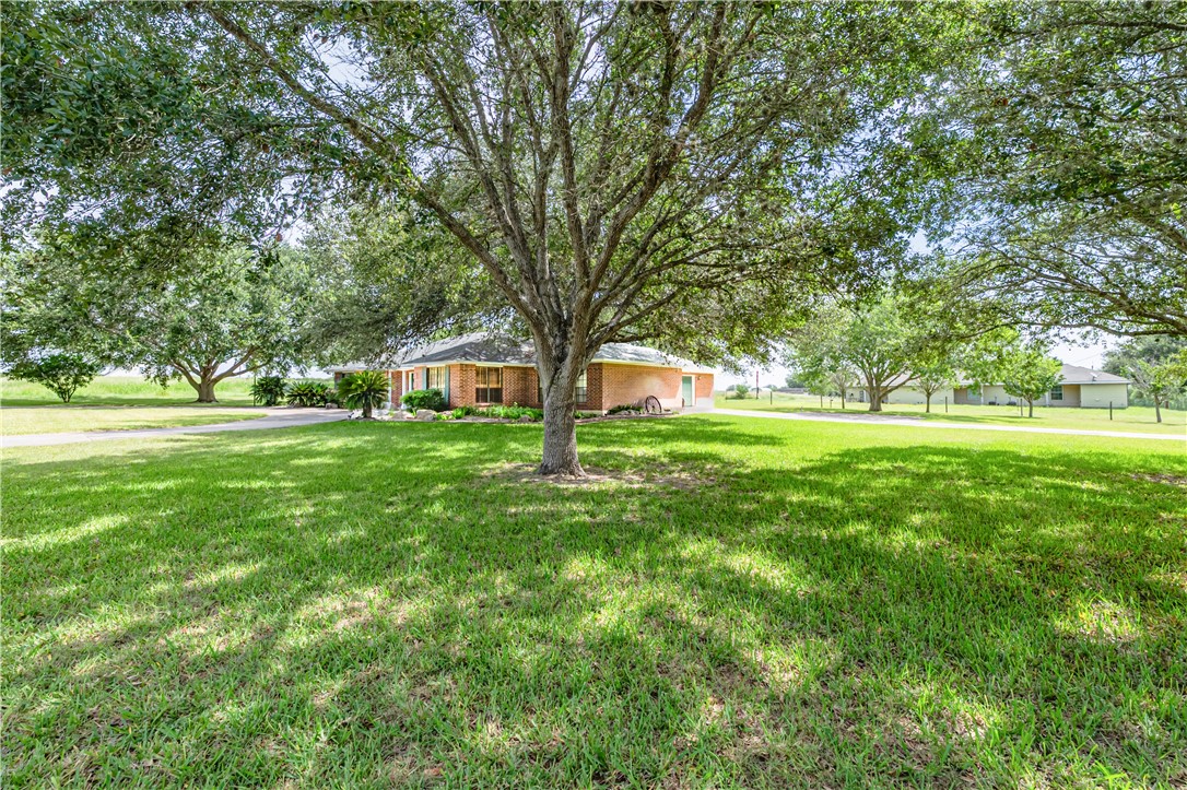 10416 7th Street Pettus, TX 78146 - Photo 38 of 40 a view of grassy field with benches and trees all around