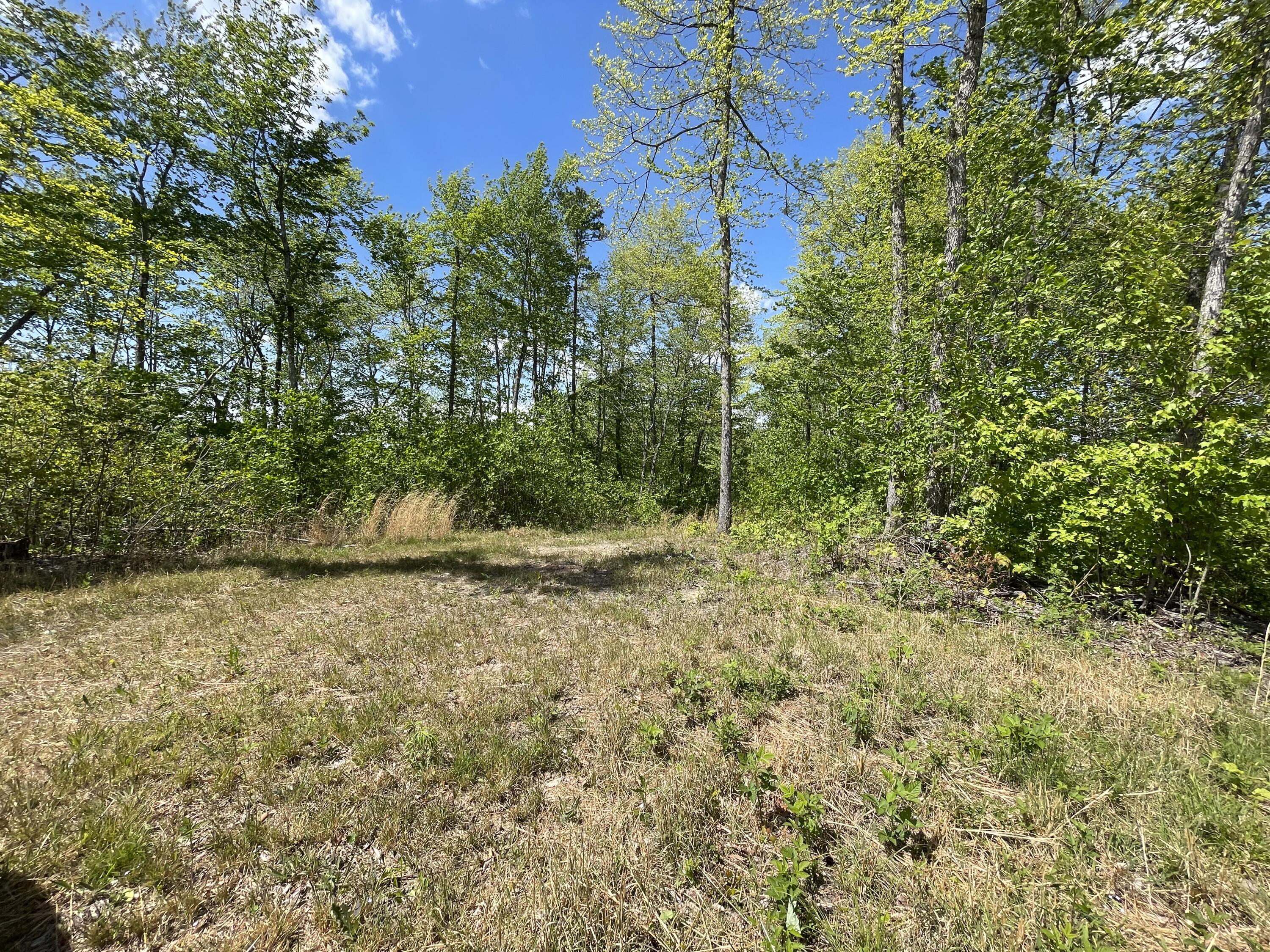9999 Public Road Somerset, KY 42503 - Photo 6 of 15 83ABD890-5A0C-402A-9A7B-CB132A0D062C