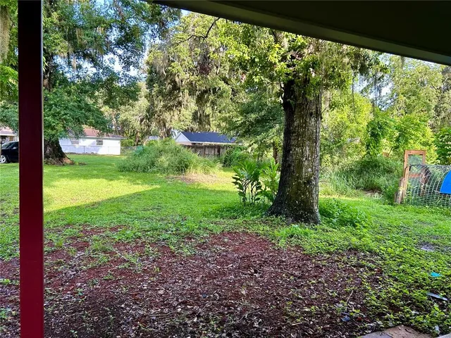 a view of a yard with a tree