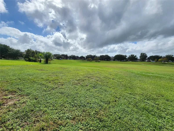 a view of a big yard with an trees
