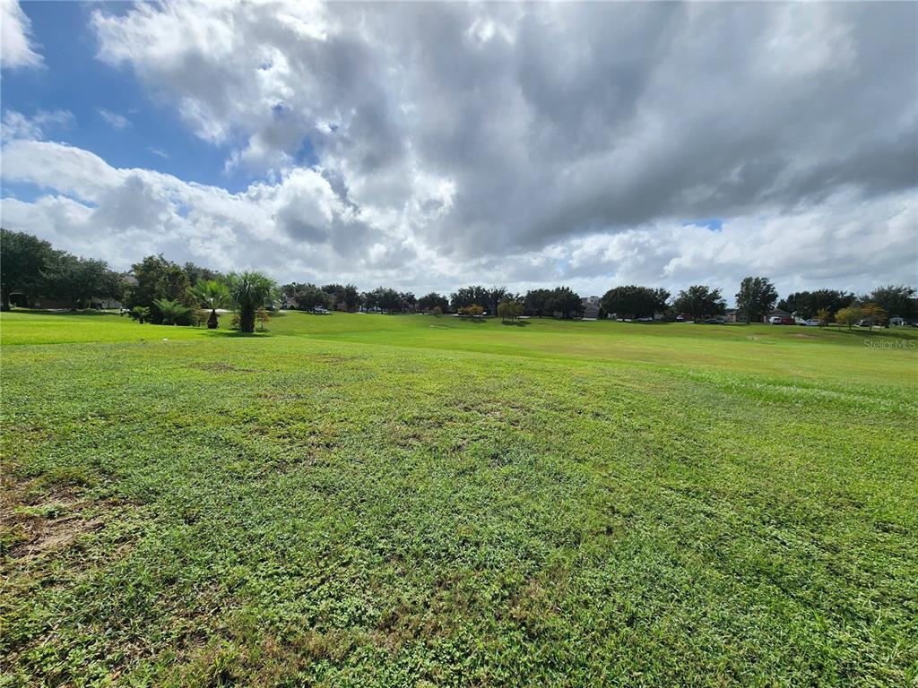 4740 Southwest 41st Street Ocala, FL 34474 - Photo 6 of 31 a view of a big yard with an trees