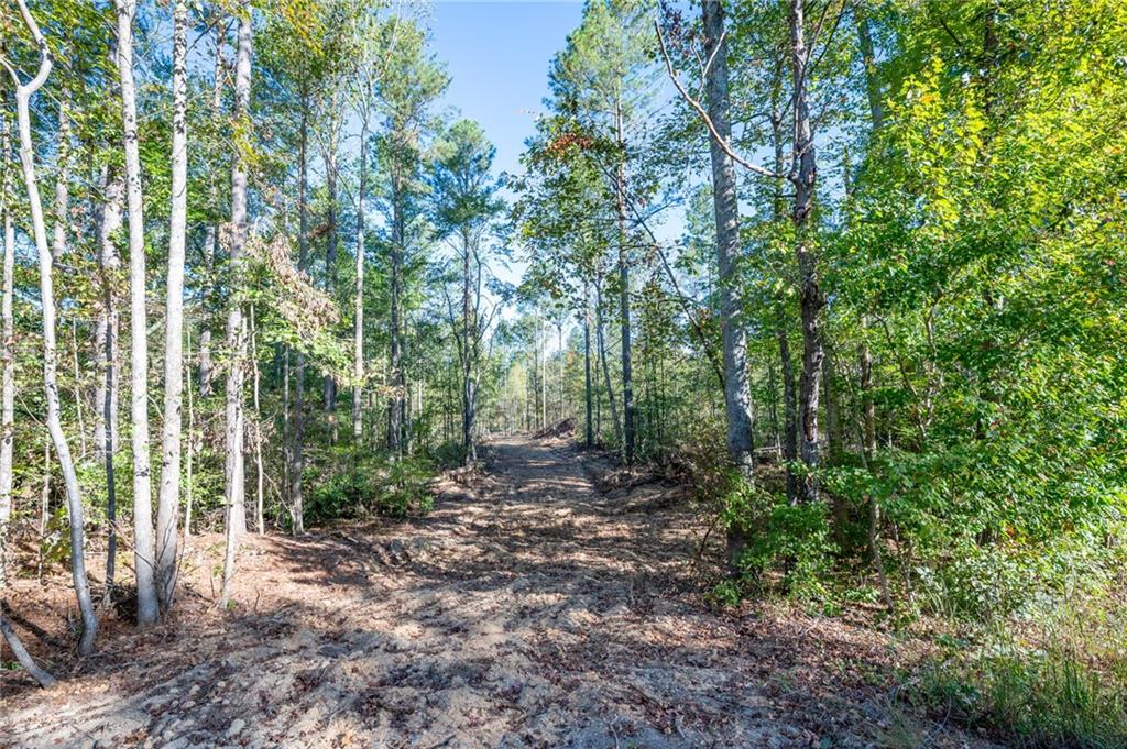 3859 Hwy 140 Ne Rydal Ga 30171 Northeast Rydal, GA 30171 - Photo 2 of 8 a view of outdoor space and trees