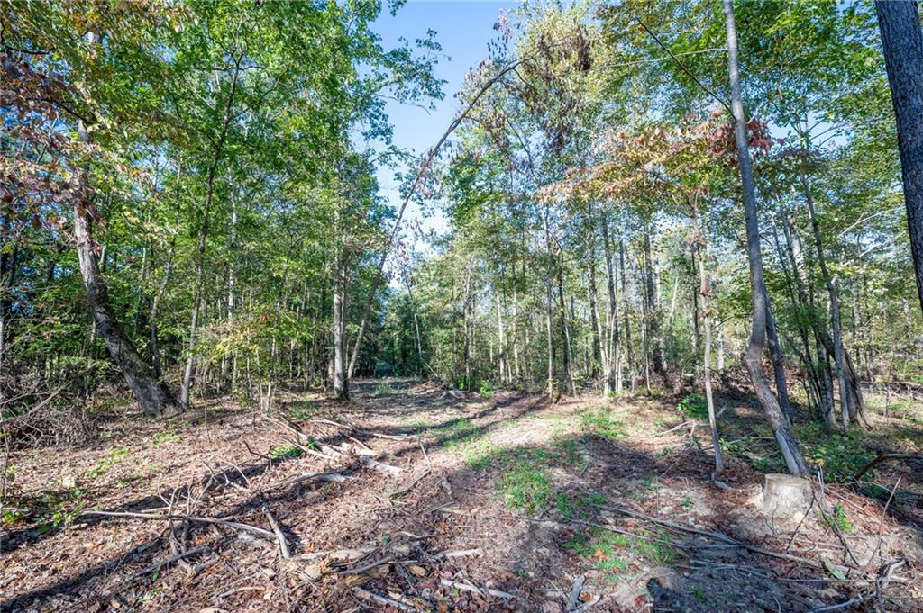 3859 Hwy 140 Ne Rydal Ga 30171 Northeast Rydal, GA 30171 - Photo 3 of 8 a view of outdoor space with trees all around