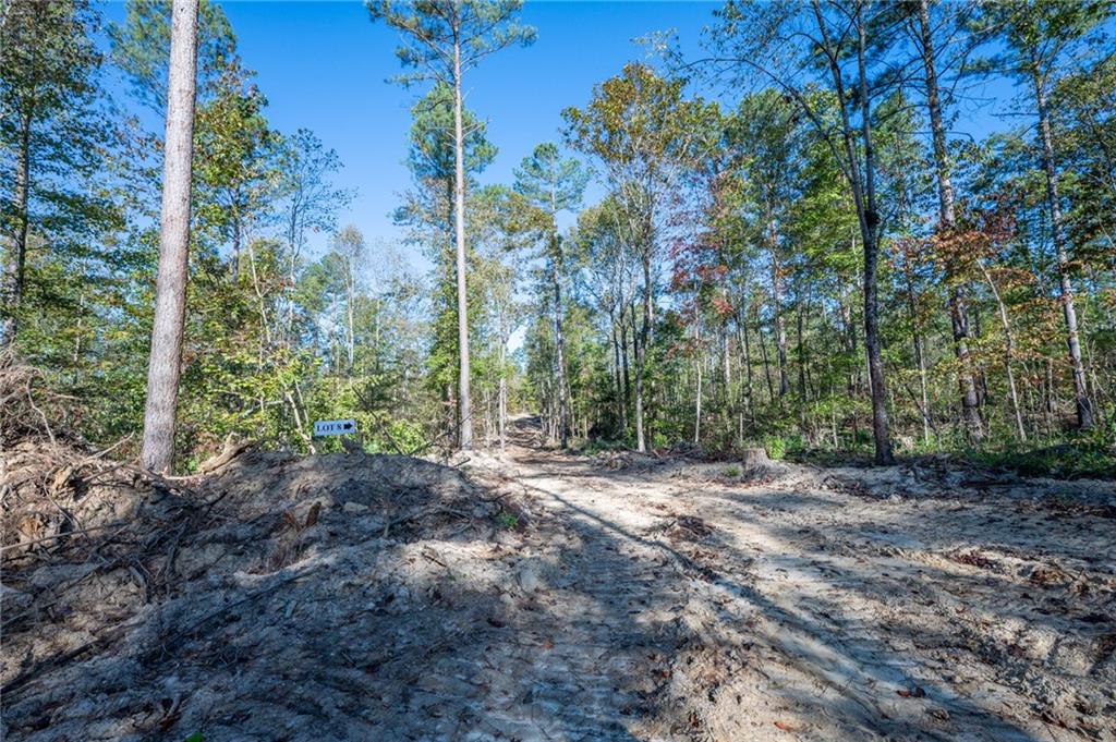 3859 Hwy 140 Ne Rydal Ga 30171 Northeast Rydal, GA 30171 - Photo 4 of 8 a view of a forest with trees