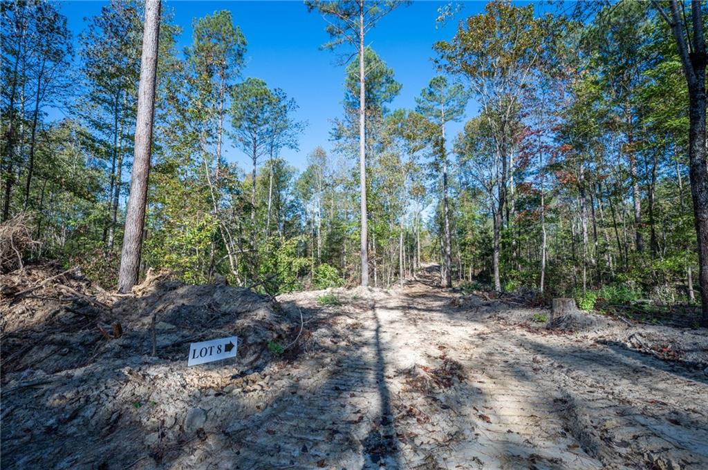 3859 Hwy 140 Ne Rydal Ga 30171 Northeast Rydal, GA 30171 - Photo 5 of 8 a view of a backyard with plants and trees