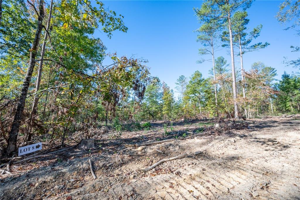 3859 Hwy 140 Ne Rydal Ga 30171 Northeast Rydal, GA 30171 - Photo 6 of 8 a view of a yard with plants and large trees