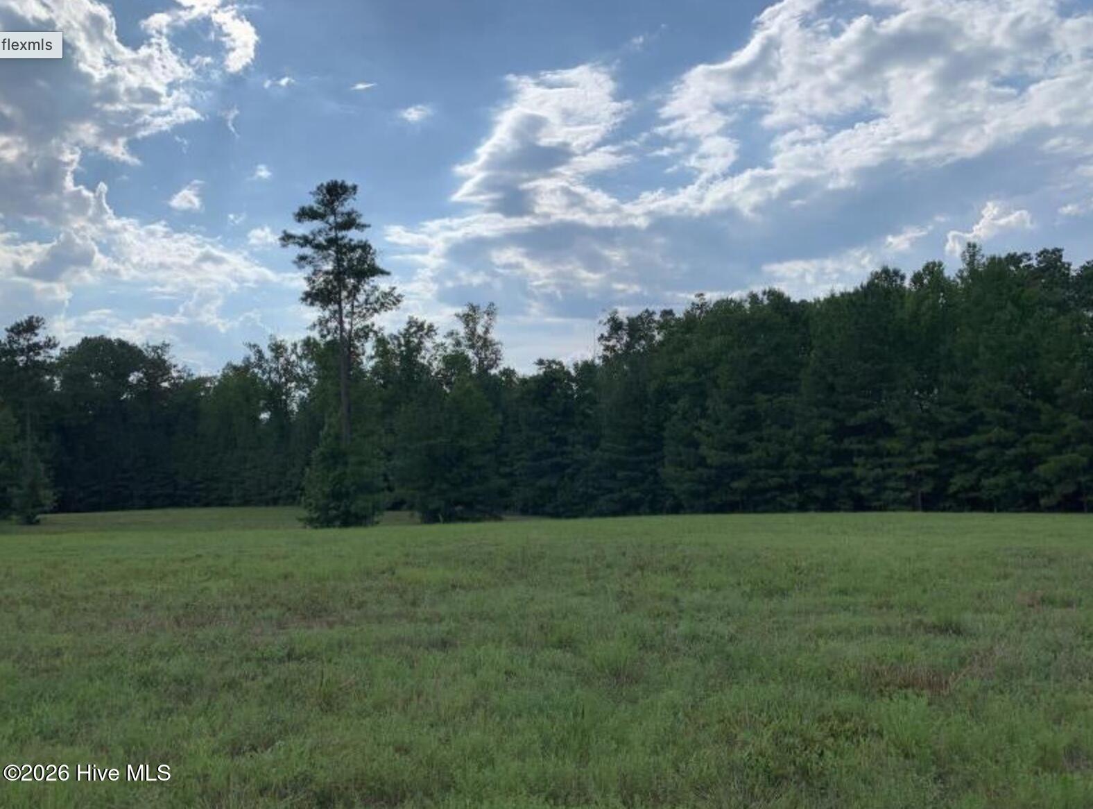 321 Whistle Hill Road Cameron, NC 28326 - Photo 2 of 12