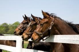 12570 Southwest 45th Street Miami, FL 33175 - Photo 2 of 2