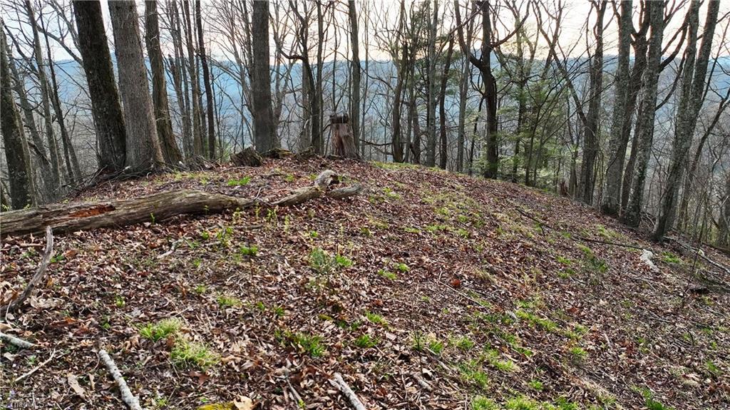94 Bucks Ridge, Unit 1517 Clyde, NC 28721 - Photo 11 of 16