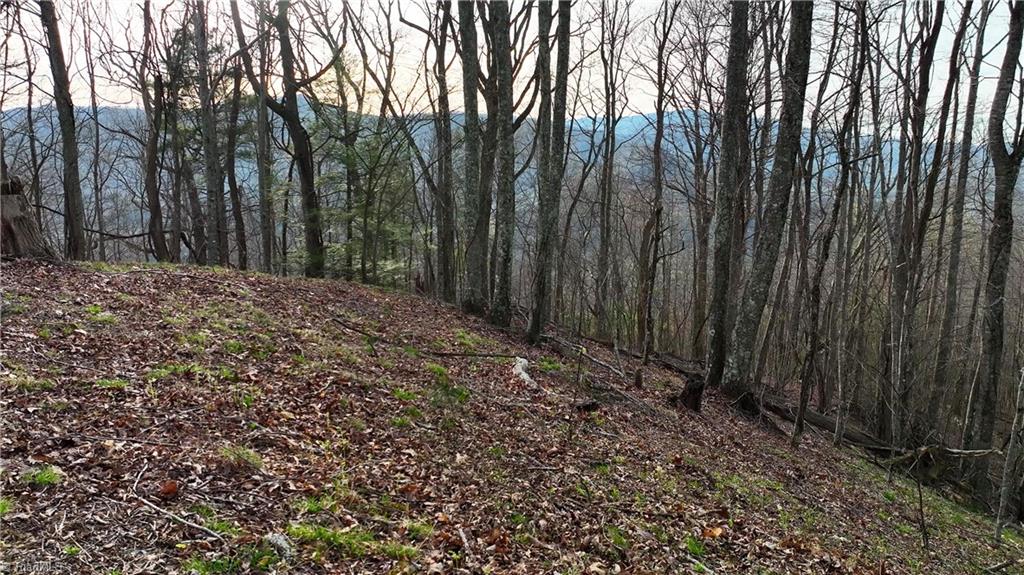 94 Bucks Ridge, Unit 1517 Clyde, NC 28721 - Photo 12 of 16