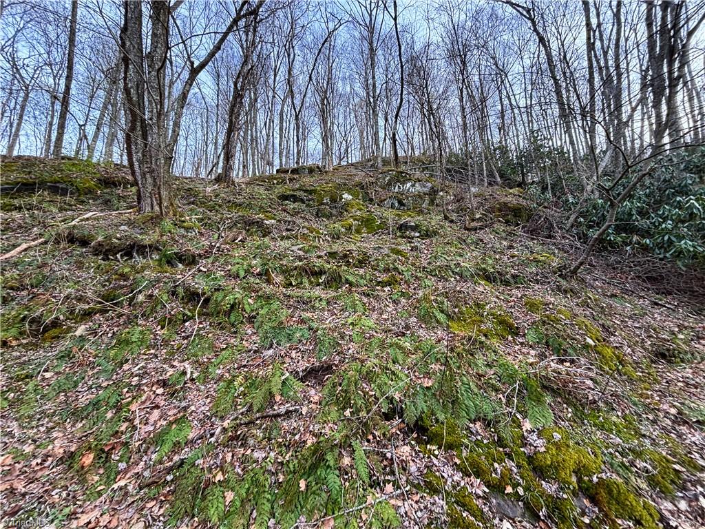 94 Bucks Ridge, Unit 1517 Clyde, NC 28721 - Photo 15 of 16