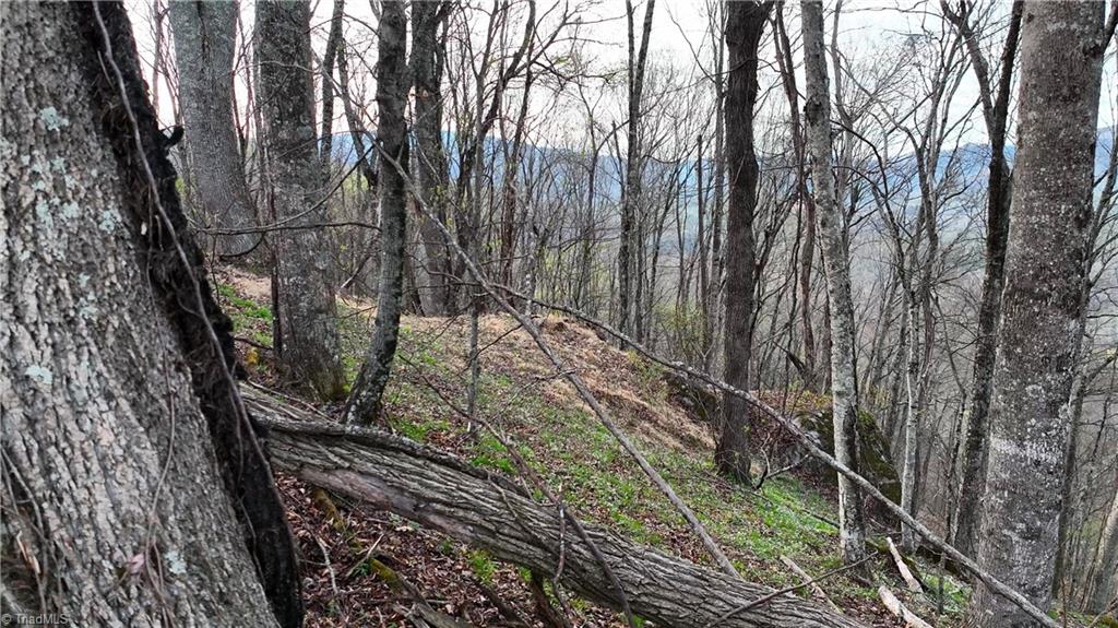 94 Bucks Ridge, Unit 1517 Clyde, NC 28721 - Photo 3 of 16