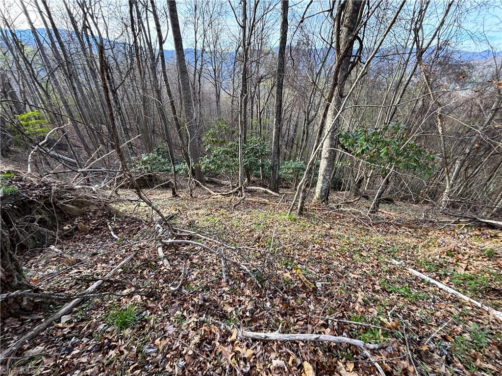 94 Bucks Ridge, Unit 1517 Clyde, NC 28721 - Photo 5 of 16