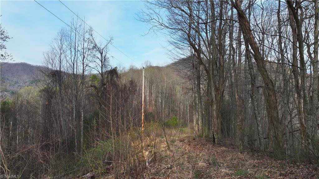 94 Bucks Ridge, Unit 1517 Clyde, NC 28721 - Photo 6 of 16
