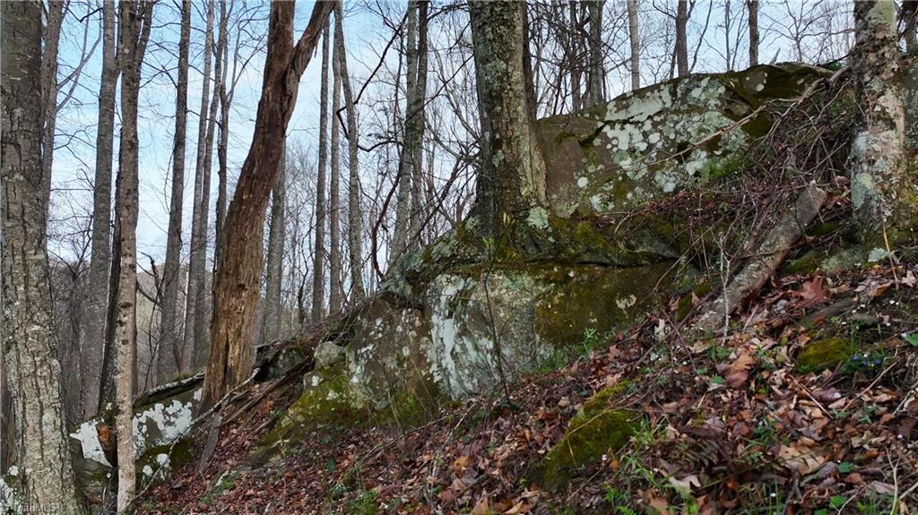 94 Bucks Ridge, Unit 1517 Clyde, NC 28721 - Photo 8 of 16